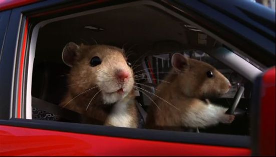 Kia Hamsters, Kia Motors USA